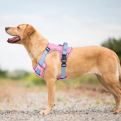 Adjustable Pet Training Harness – Breathable Nylon