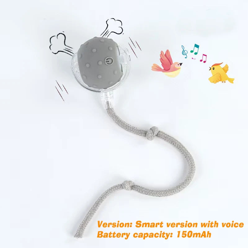 Smart Interactive Cat Ball – Automatic Rolling Toy