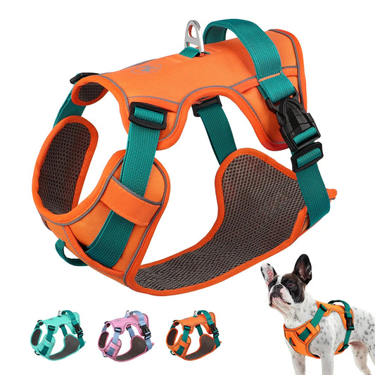 Adjustable Pet Training Harness – Breathable Nylon