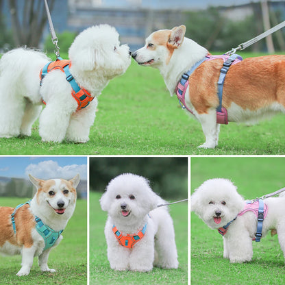 Adjustable Pet Training Harness – Breathable Nylon