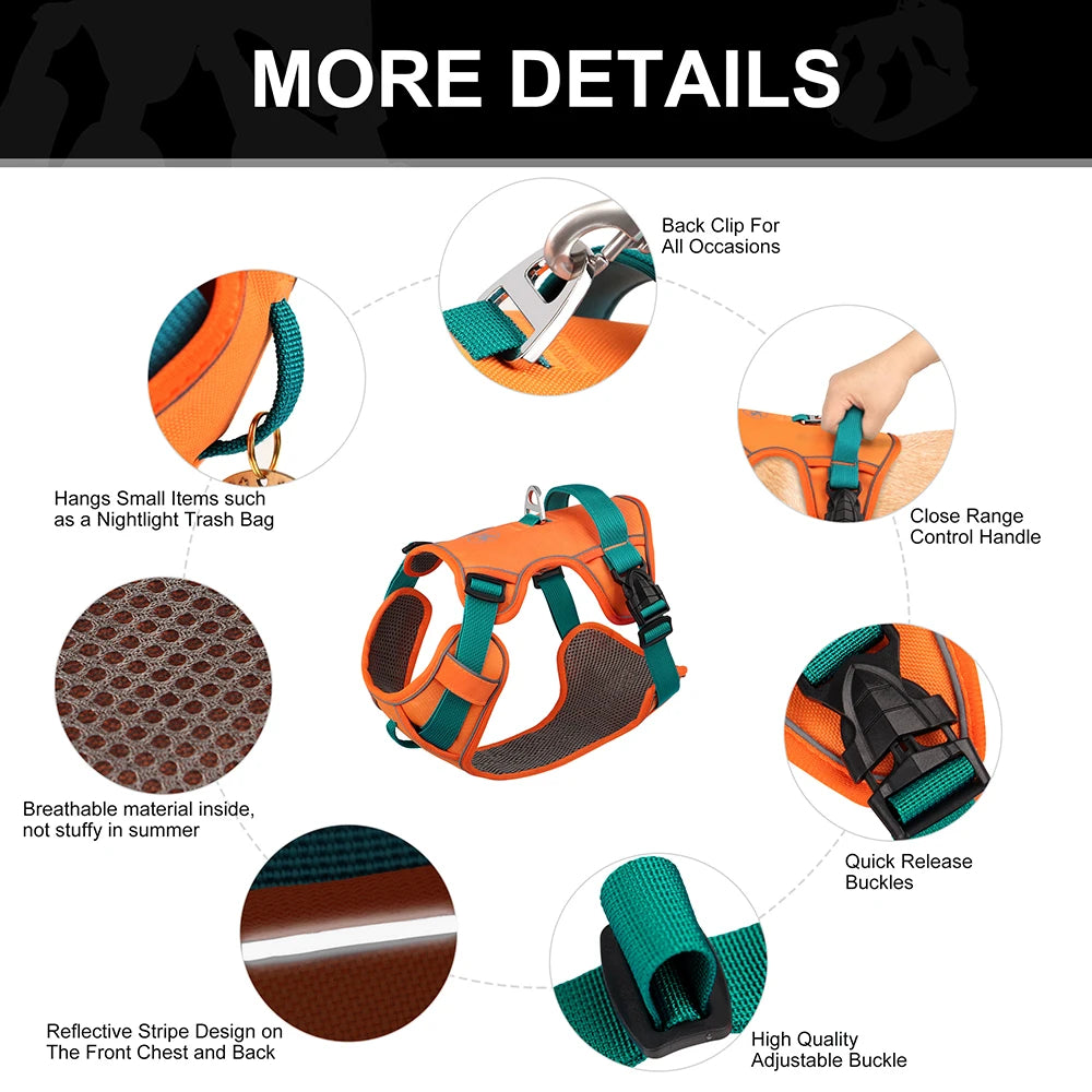 Adjustable Pet Training Harness – Breathable Nylon