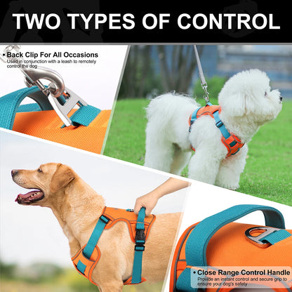 Adjustable Pet Training Harness – Breathable Nylon