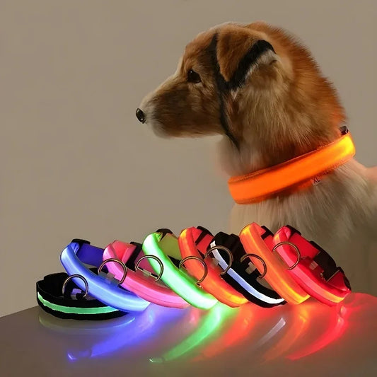 Glow-in-the-Dark LED Dog Collar