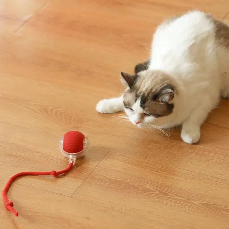 Smart Interactive Cat Ball – Automatic Rolling Toy