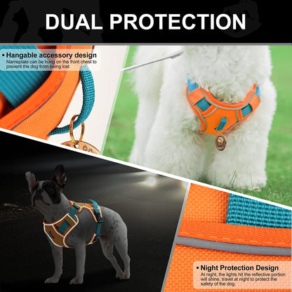 Adjustable Pet Training Harness – Breathable Nylon