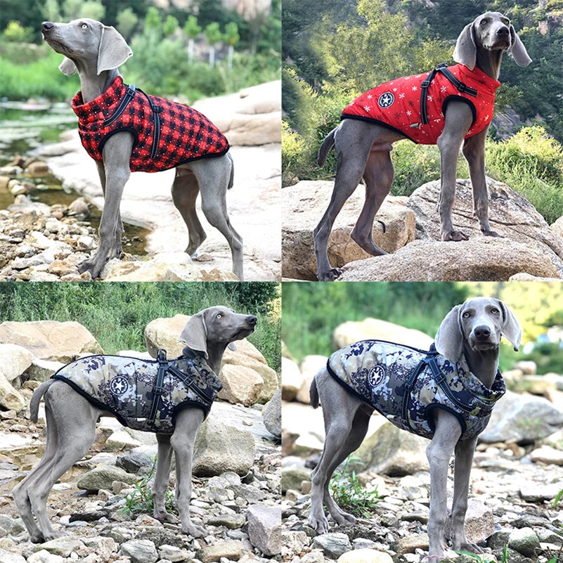 Cozy Winter Pet Coat – Puppy Vest