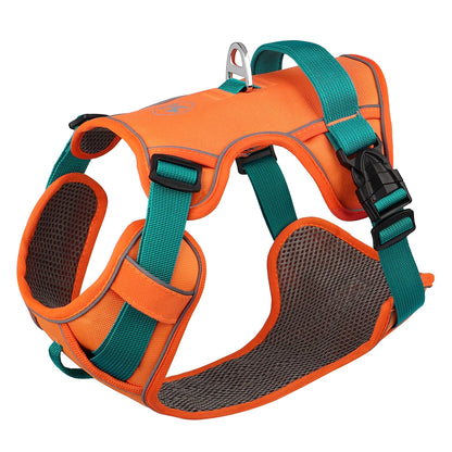 Adjustable Pet Training Harness – Breathable Nylon