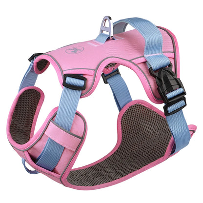 Adjustable Pet Training Harness – Breathable Nylon