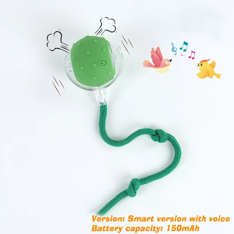 Smart Interactive Cat Ball – Automatic Rolling Toy